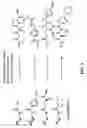 Fig. 10 - Free reactant use in nucleic acid-templated synthesis