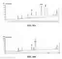 Fig. 11 - Free reactant use in nucleic acid-templated synthesis