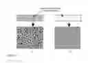 Fig. 12 - Microarray and methods of using same