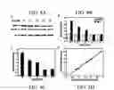 Fig. 05 - Assays for detecting small nuclear ribonucleoprotein particle assembly and survival of motor neurons activity
