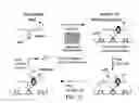 Fig. 14 - Assays for detecting small nuclear ribonucleoprotein particle assembly and survival of motor neurons activity