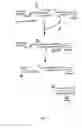 Fig. 03 - Capturing sequences adjacent to type-IIS restriction sites for genomic library mapping