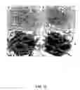 Fig. 14 - TEX14 compositions and modulators thereof to alter intercellular bridge development and function