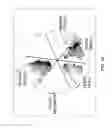 Fig. 18 - TEX14 compositions and modulators thereof to alter intercellular bridge development and function