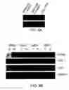 Fig. 16 - Methods and compositions for modulating Necdin function
