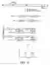 Fig. 09 - Mass spectrometric methods for detecting mutations in a target nucleic acid