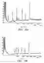 Fig. 35 - Mass spectrometric methods for detecting mutations in a target nucleic acid