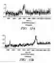 Fig. 40 - Mass spectrometric methods for detecting mutations in a target nucleic acid