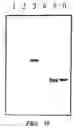 Fig. 43 - Mass spectrometric methods for detecting mutations in a target nucleic acid