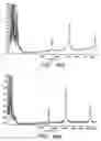 Fig. 44 - Mass spectrometric methods for detecting mutations in a target nucleic acid