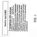Fig. 02 - Use of a polypeptide for detecting, preventing or treating a pathological condition associated with a degenerative, neurological or autoimmune disease