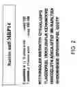 Fig. 03 - Use of a polypeptide for detecting, preventing or treating a pathological condition associated with a degenerative, neurological or autoimmune disease