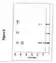 Fig. 09 - Use of a polypeptide for detecting, preventing or treating a pathological condition associated with a degenerative, neurological or autoimmune disease