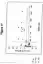 Fig. 18 - Use of a polypeptide for detecting, preventing or treating a pathological condition associated with a degenerative, neurological or autoimmune disease
