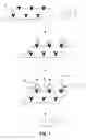 Fig. 02 - Detection of post-translationally modified analytes