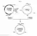 Fig. 10 - Process for producing glycoprotein composition
