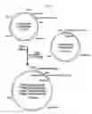 Fig. 18 - Process for producing glycoprotein composition