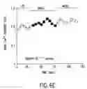 Fig. 08 - Regulation of neuronal function through metabotropic glutamate receptor signaling pathways