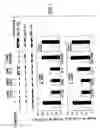 Fig. 09 - Regulation of neuronal function through metabotropic glutamate receptor signaling pathways