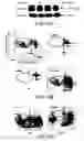 Fig. 12 - Regulation of neuronal function through metabotropic glutamate receptor signaling pathways