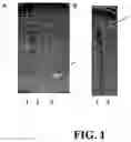Fig. 02 - and strains and bacteriocins