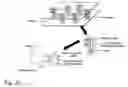 Fig. 113 - Devices and methods for magnetic enrichment of cells and other particles