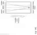 Fig. 40 - Devices and methods for magnetic enrichment of cells and other particles