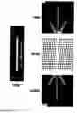 Fig. 61 - Devices and methods for magnetic enrichment of cells and other particles