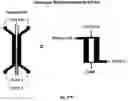 Fig. 89 - Devices and methods for magnetic enrichment of cells and other particles