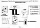 Fig. 94 - Devices and methods for magnetic enrichment of cells and other particles