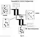 Fig. 97 - Devices and methods for magnetic enrichment of cells and other particles