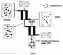 Fig. 98 - Devices and methods for magnetic enrichment of cells and other particles