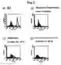 Fig. 03 - Method for separating hepatic progenitor cell