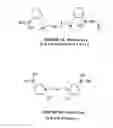 Fig. 02 - Solid-phase saccharide sensing compounds