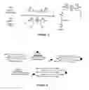 Fig. 13 - Solid-phase saccharide sensing compounds