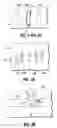 Fig. 02 - Method of forming a crack stop void in a low-k dielectric layer between adjacent fuses