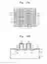 Fig. 11 - Semiconductor device having self-aligned silicide layer and method thereof