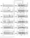 Fig. 01 - Method of forming sheet having foreign material portions used for forming multi-layer wiring board and sheet having foreign portions