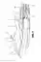 Fig. 02 - Trim adjusting device for small surface boat