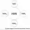 Fig. 01 - Handheld medium probe for managing wireless networks