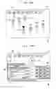 Fig. 30 - Game program, gaming apparatus, and recording medium