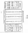 Fig. 12 - SYSTEMS AND METHODS FOR FACILITATING PLAY USING REVERSED PAYOUT TABLES