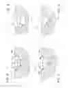 Fig. 03 - Golf club having stepped grooves