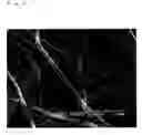 Fig. 10 - Catalyst-supporting fiber structure and method for producing same