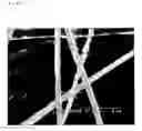 Fig. 12 - Catalyst-supporting fiber structure and method for producing same