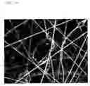 Fig. 15 - Catalyst-supporting fiber structure and method for producing same