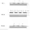 Fig. 02 - Photocatalyst composition and photocatalyst containing layer