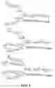 Fig. 02 - Prostate specific antigens and uses thereof