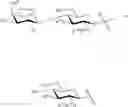 Fig. 170 - Prostate specific antigens and uses thereof