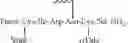 Fig. 180 - Prostate specific antigens and uses thereof